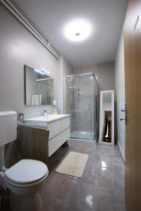 卢布尔雅那New rooms & apartments in Ljubljana的浴室配有卫生间、盥洗盆和淋浴。