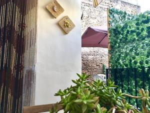 锡拉库扎卡萨奥提吉雅度假屋的植物旁的墙上有两个钩子
