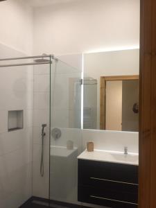 柏林柏林夏洛滕堡城市公寓的带淋浴、盥洗盆和镜子的浴室