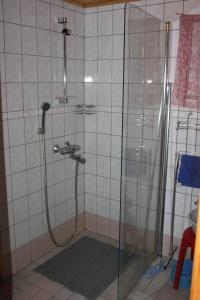VarpaisjärviKuusitorppa的浴室里设有玻璃门淋浴