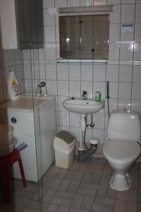 VarpaisjärviMäkitorppa的一间带卫生间和水槽的浴室