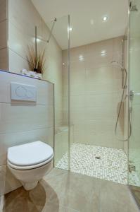 萨菲登安斯泰内嫩米尔Ferienhaus Bachwinkl的一间带卫生间和玻璃淋浴间的浴室
