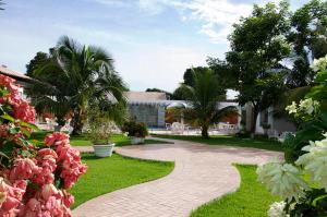 库亚巴德尔卡斯酒店的穿过棕榈树花园和大楼的步道