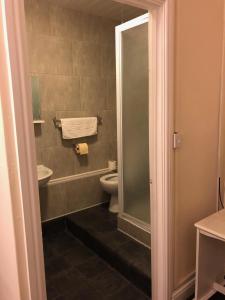 赫克瑟姆火车站酒店的一间带卫生间和水槽的浴室