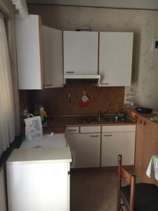 洛雷茨卡APP Rojko的小厨房配有白色橱柜和水槽