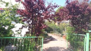 GarzZum Buddje的花园中的一个门,花园中有一棵红叶树