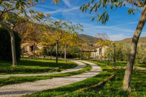 Serra San Quirico勒沃尔塔勒住宿加早餐旅馆的林木林立的公园里 ⁇ 曲折的道路