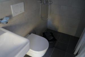 Champ-du-Moulin德拉特鲁特酒店的浴室配有白色卫生间和淋浴。