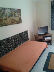 GarzApartments zum Brauergang的一间卧室配有一张带橙色毯子的床和一台电视。