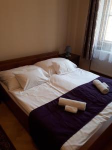 塞格德萨那贝拉旅馆的床上有两条可移动的毛巾