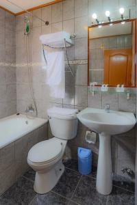纳塔列斯港萨尔托斯德尔潘恩酒店的一间带卫生间和水槽的浴室