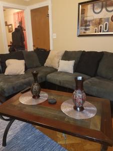 布鲁克林加布里埃尔豪华套房公寓的客厅配有沙发和咖啡桌上的两个花瓶