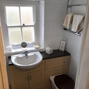 彭里斯黑天鹅酒店的一间带水槽、窗户和卫生间的浴室