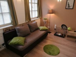 布达佩斯帕特里夏花园公寓的客厅配有沙发和2个枕头