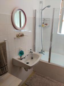 KleinbaaiAfter8 B&B的一间带水槽、淋浴和镜子的浴室