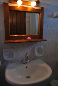 米克隆科利奥瑞泽玛宾馆的浴室内的盥洗盆,配有镜子和花