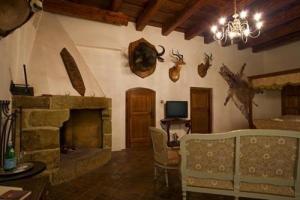 俄斯特拉发萨默克城堡酒店的客厅设有石制壁炉和吊灯。