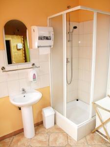 新格拉迪什卡Hotel Kralj Tomislav的带淋浴和盥洗盆的浴室