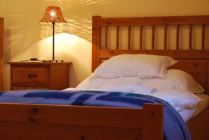 KisjakabfalvaJackfall Apartman és Fogadó的一间卧室配有一张带蓝色毯子和灯的床。