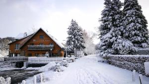 韦姆Au Cheval Blanc的房屋前的雪覆盖路径