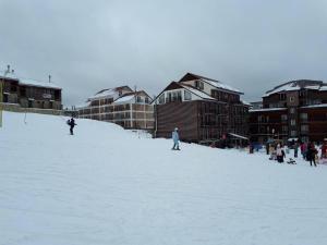 巴库里阿尼EP Apartment in Mgzavrebi Bakuriani的一群人沿着雪覆盖的斜坡滑雪
