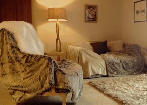 克洛斯特斯多夫Haus Fless 7的带沙发和台灯的客厅