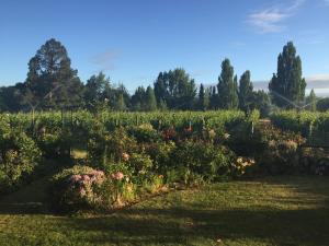 亚历山德拉'The Crib' on Legacy Vineyard的花园内种有鲜花和树木