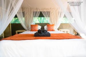 侯斯普瑞特Southern Sands Eco Lodge的一间卧室配有带白色窗帘和橙色枕头的床。