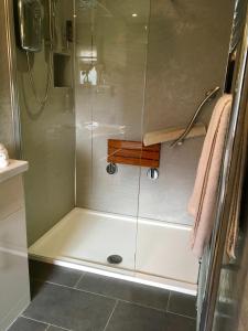 亨斯坦顿阿什莉旅舍的浴室里设有玻璃门淋浴