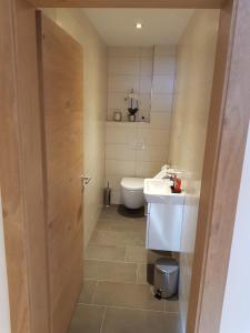 阿尔卑巴赫Appartment Moser的一间带水槽和卫生间的小浴室