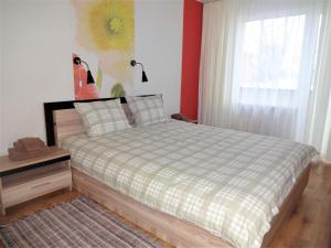 瓦尔米耶拉Kaktuss Apartamenti的一间卧室配有一张带拼盘床罩的床和窗户。