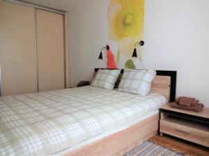 瓦尔米耶拉Kaktuss Apartamenti的一间卧室配有一张带 ⁇ 床罩的床