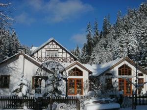 HelmbrechtsGasthof Bischofsmühle的雪覆盖的房屋,有栅栏