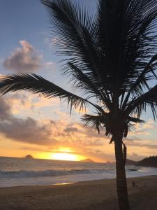 博西坎加Aveiro Suítes Boiçucanga Frente ao Mar的海滩上的棕榈树与日落
