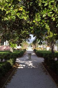 蒙特法尔科Villa Santa Barbara的公园里一条树下长凳的小径