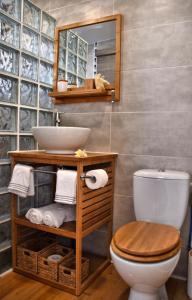 珀蒂蒂勒Chez Les Filles - Bungalodge的一间带水槽、卫生间和镜子的浴室