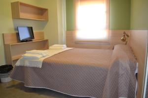 塞哥维亚工厂住宅大楼酒店的一间卧室设有一张床、电视和窗户