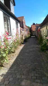 里伯Peder Dovns Slippe的一条有房子和鲜花的鹅卵石街道