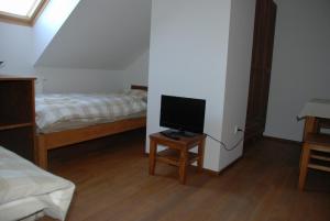 Horní Holetín霍乐婷膳食公寓的一间卧室配有一张床和一张桌子上的电视