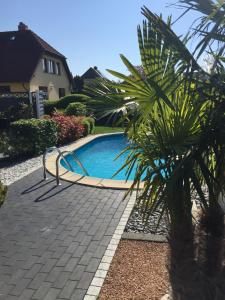 洛默Ferienwohnungen Arkonablick的棕榈树庭院中的游泳池