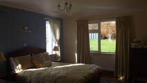利默里克Hazel Cottage的一间卧室设有一张床和一个大窗户