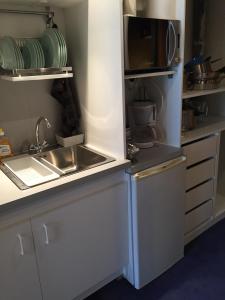 蒂涅Studio défraichi mais propre et fonctionnel, idéalement placé的一间带水槽和微波炉的小厨房