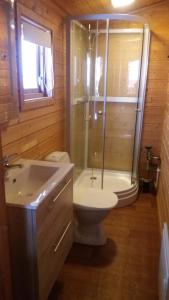博尔加内斯斯诺拉斯塔迪尔农家乐的带淋浴、卫生间和盥洗盆的浴室