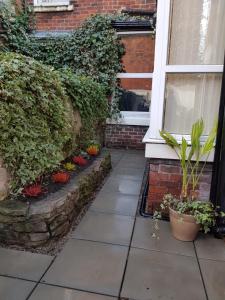普雷斯顿Cosy Apartment in Private Courtyard的种有植物的门廊、窗户和花园