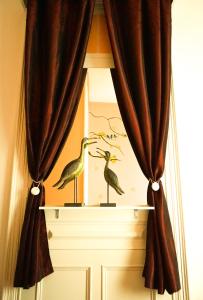 蓬塔德尔加达Azores Dream Hostel的窗户,窗帘上挂着鸟儿画