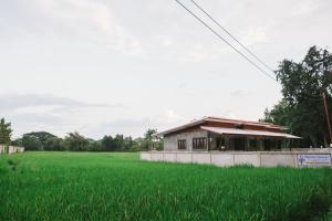 杭东ฺ班通龙民宿 的绿草丛中的房屋