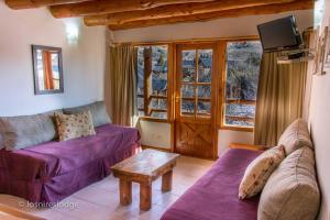 圣卡洛斯-德巴里洛切Los Nires Lodge Cerro Catedral的客厅配有紫色沙发和电视
