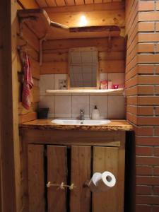 奥泰佩Metsatu Valge Elevandi puhkemaja的一间带水槽和镜子的浴室