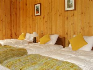 百内三塔德尔佩恩酒店的带木镶板墙的客房内的三张床