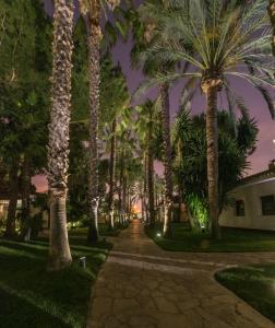 莱利亚纳El Oasis Villa Resort的一条在晚上种满棕榈树的步道